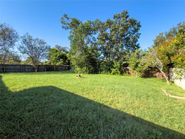 Backyard