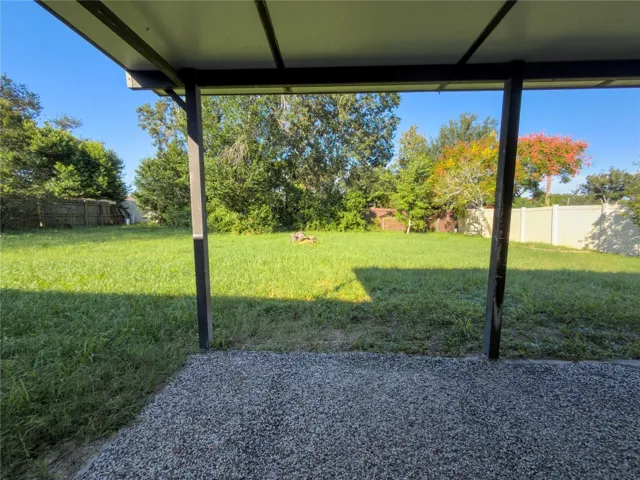 Backyard