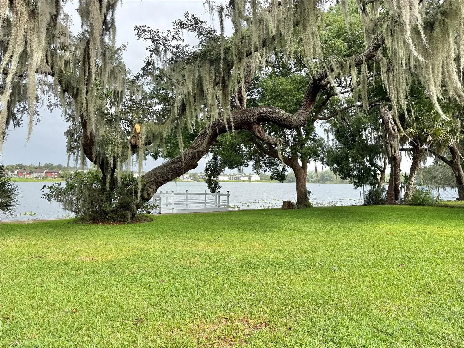 Lake view