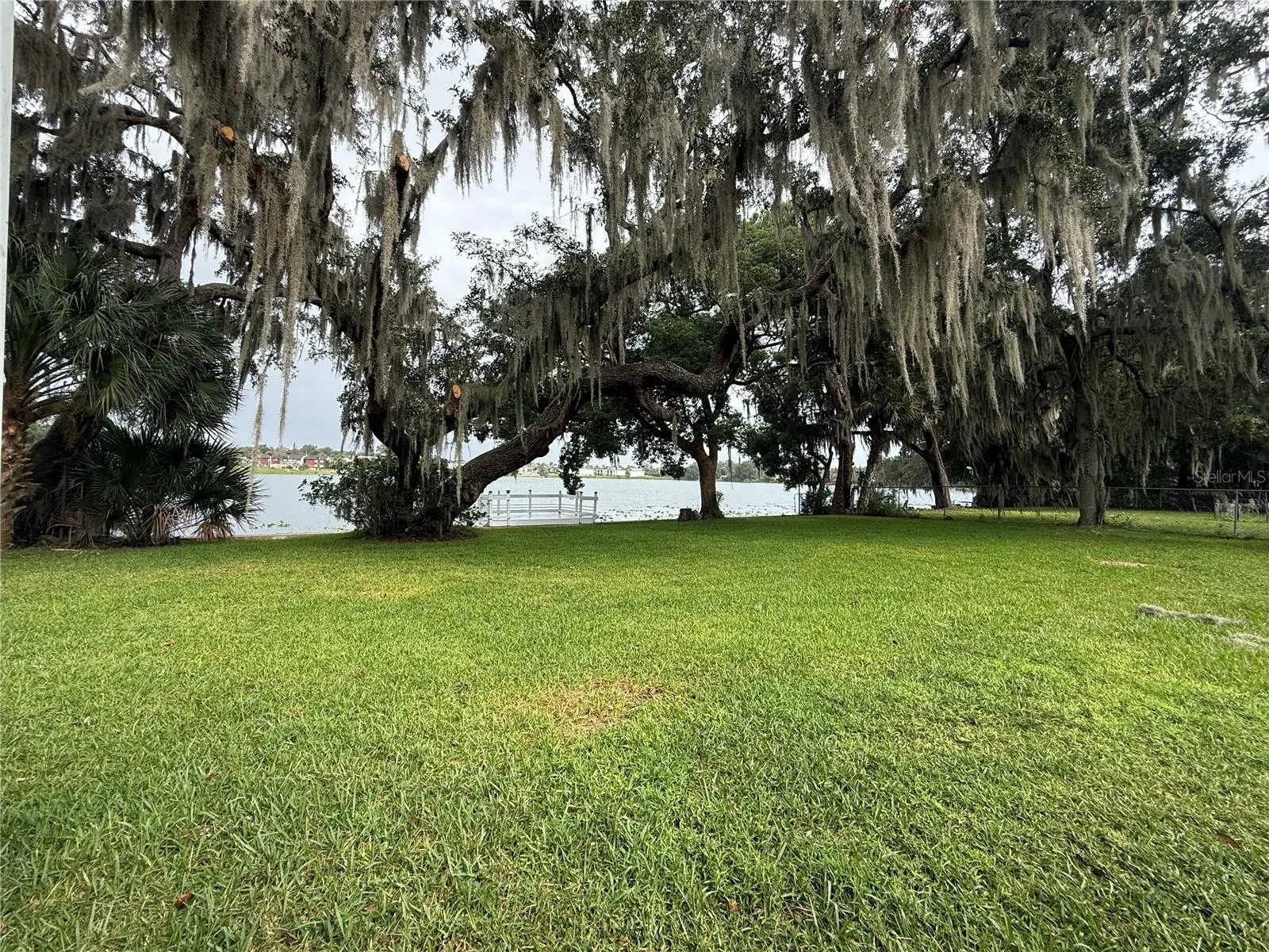 Lake view