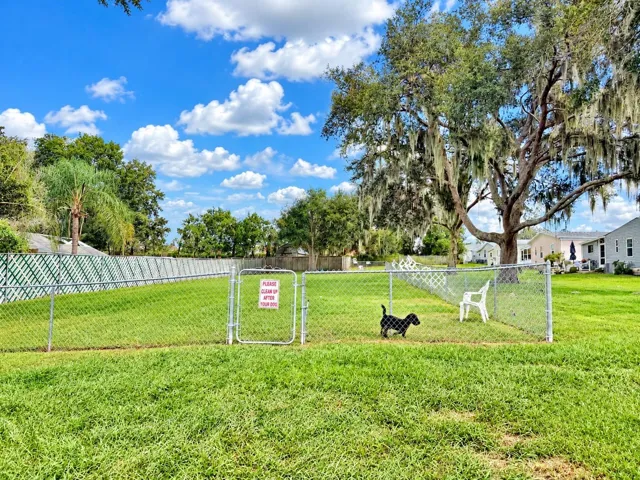 Community Dog Park