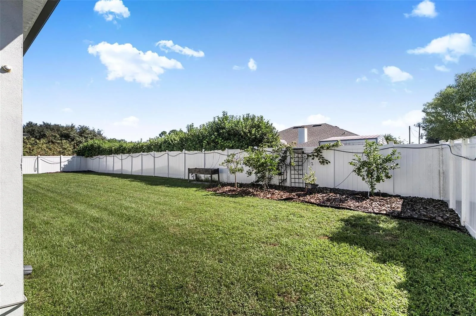 FULLY FENCED BACKYARD FEATURING FRUIT TREES