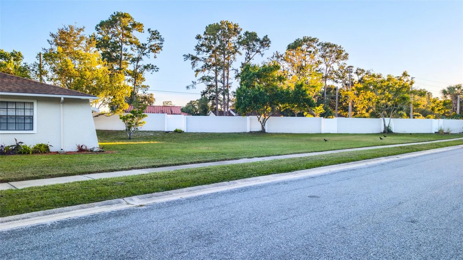 Large side yard