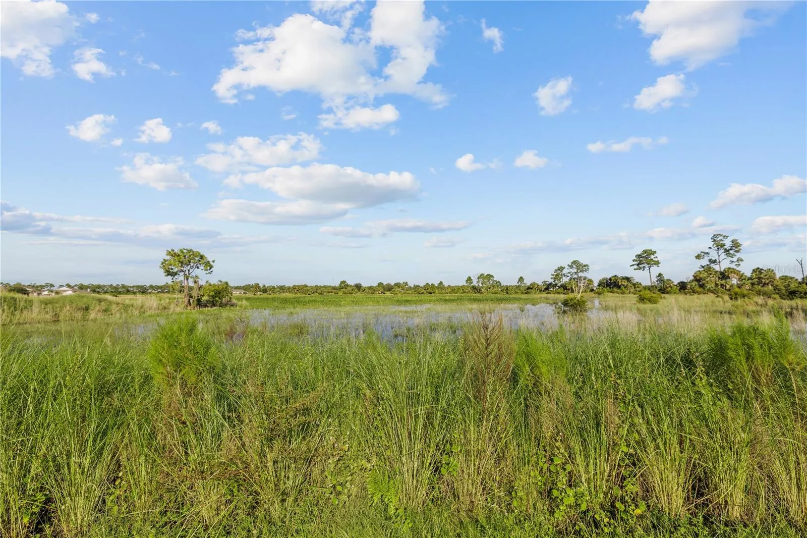 Conservation Area very quiet