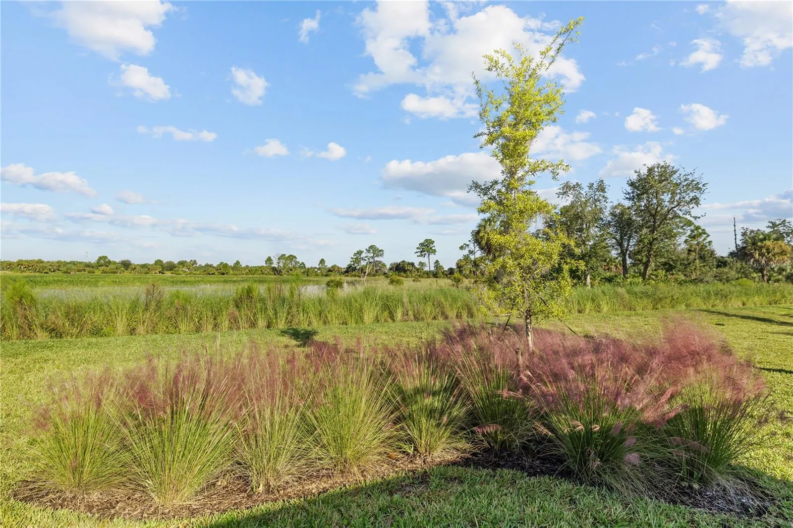 Conservation View