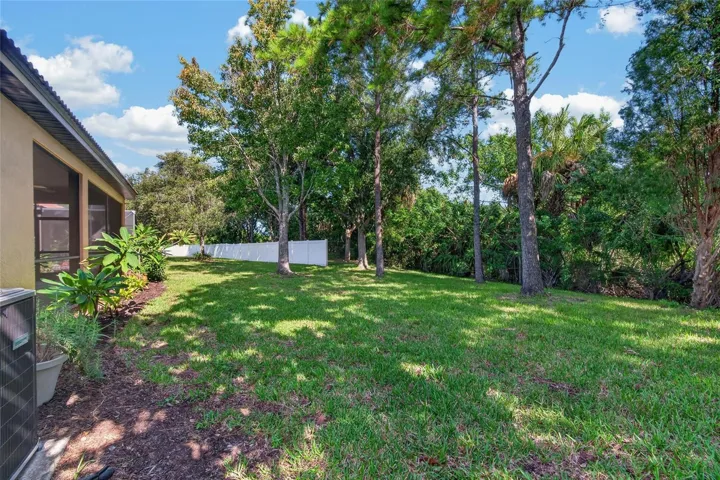 Rear of Property