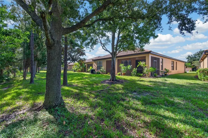 Rear of Property