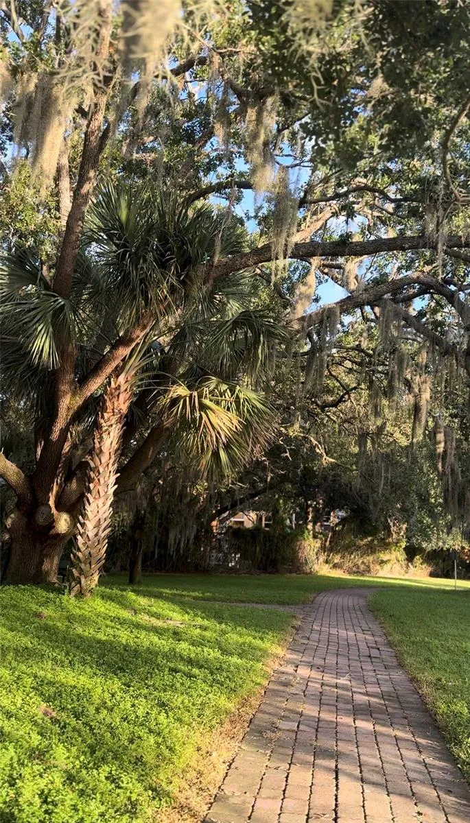Walking trails to playground#2