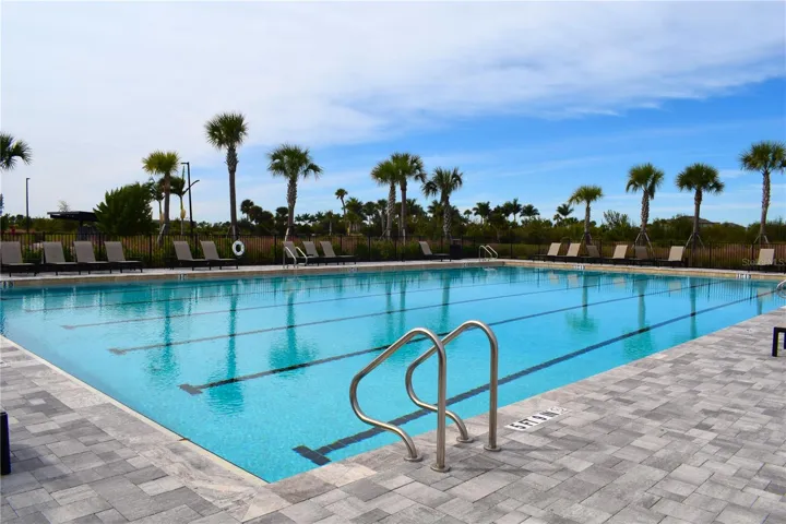 Lap Pool