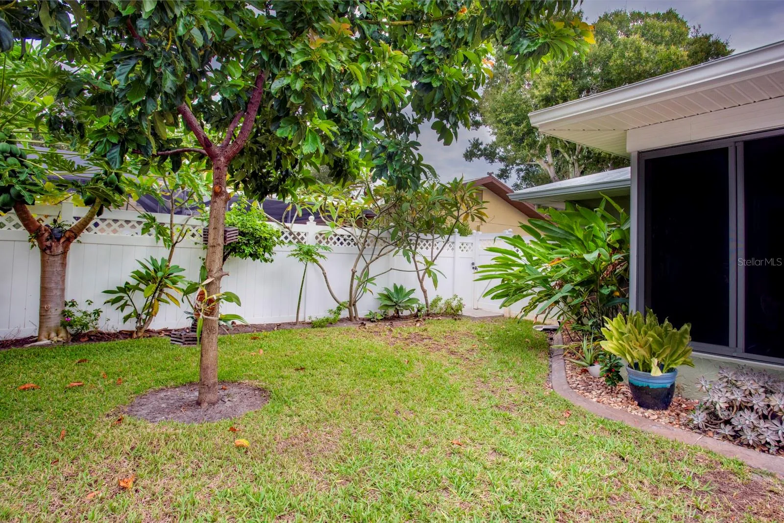 Fenced Backyard