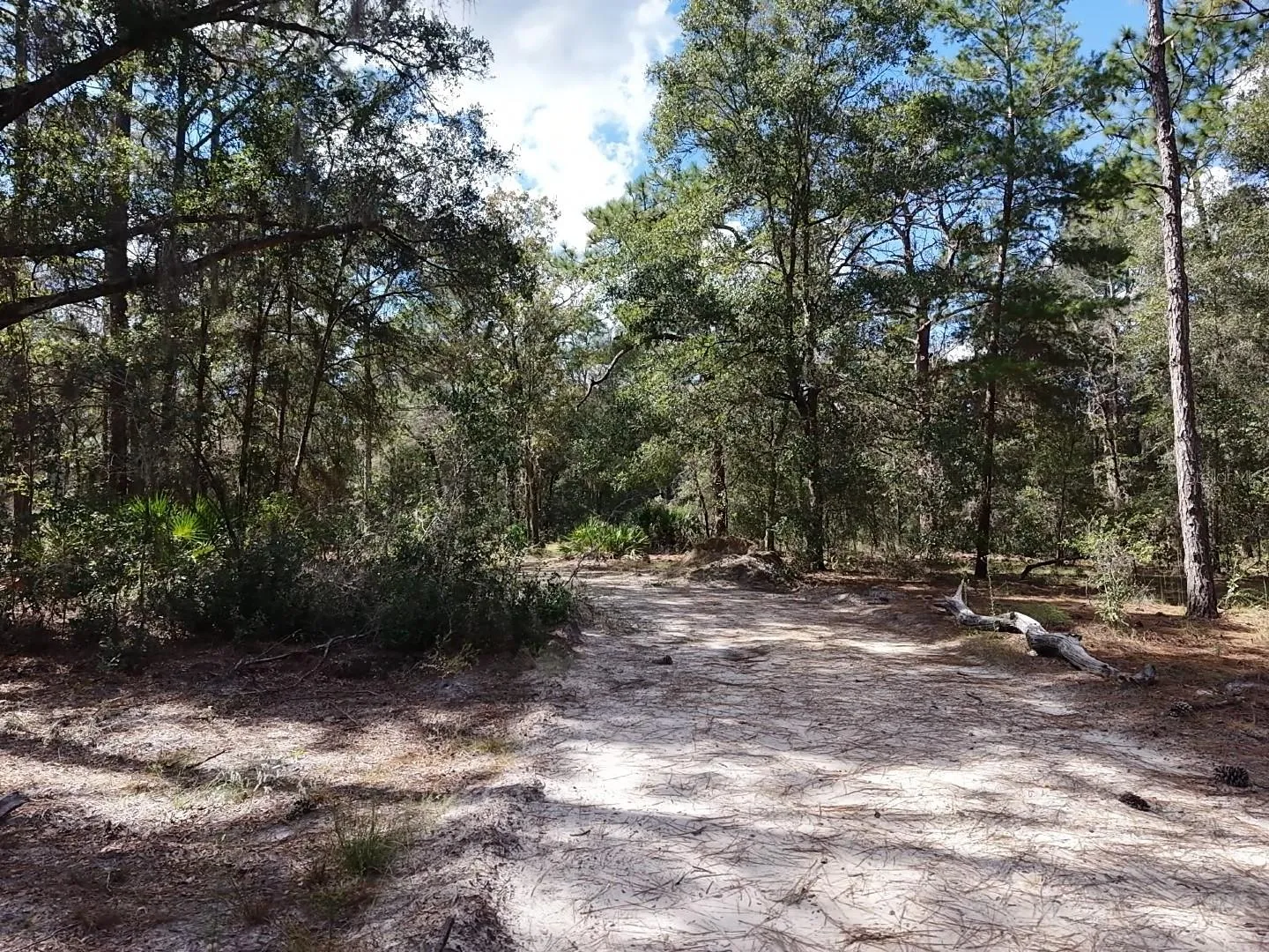 Driveway