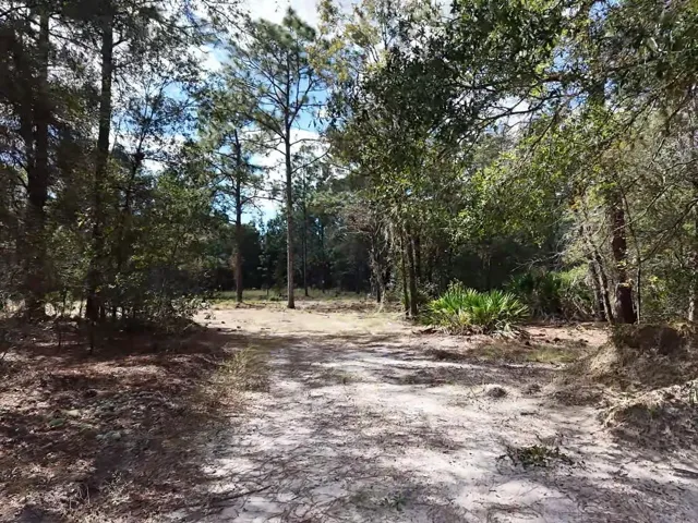 Driveway Near Proposed Building Area