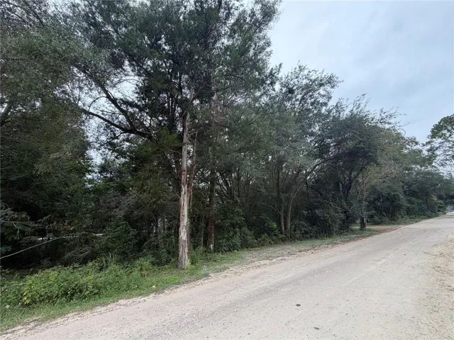 Side of Lot on SE 140th PL