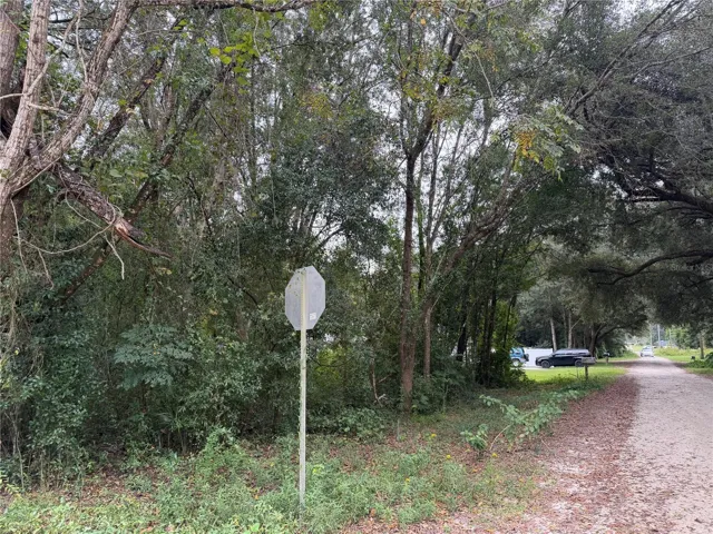 Road on SE 35th CT
