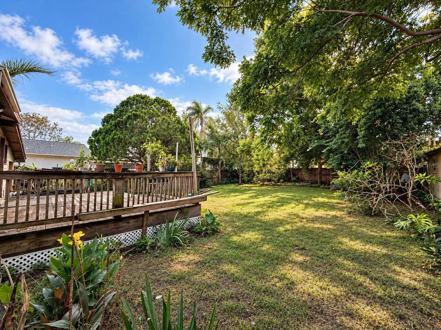 Backyard field