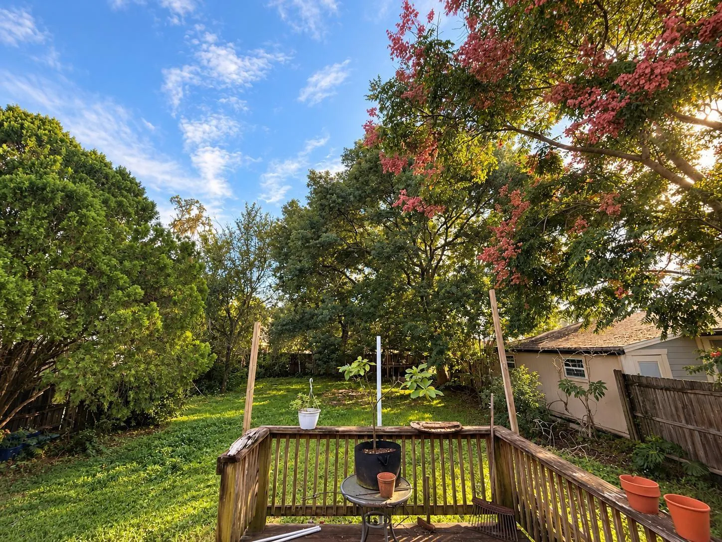 Backyard and porch view