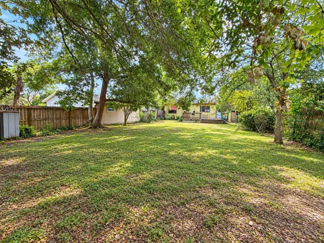 Backyard
