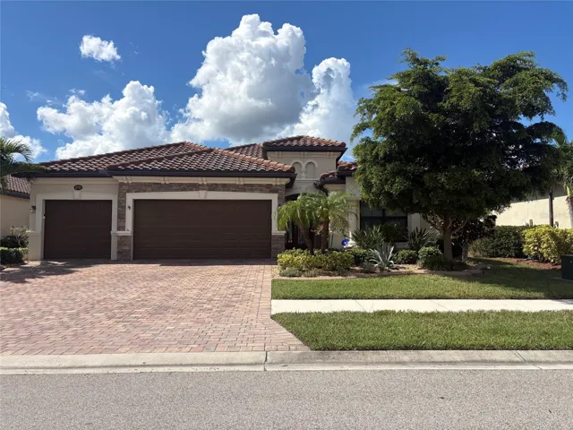 Benissimo in the afternoon