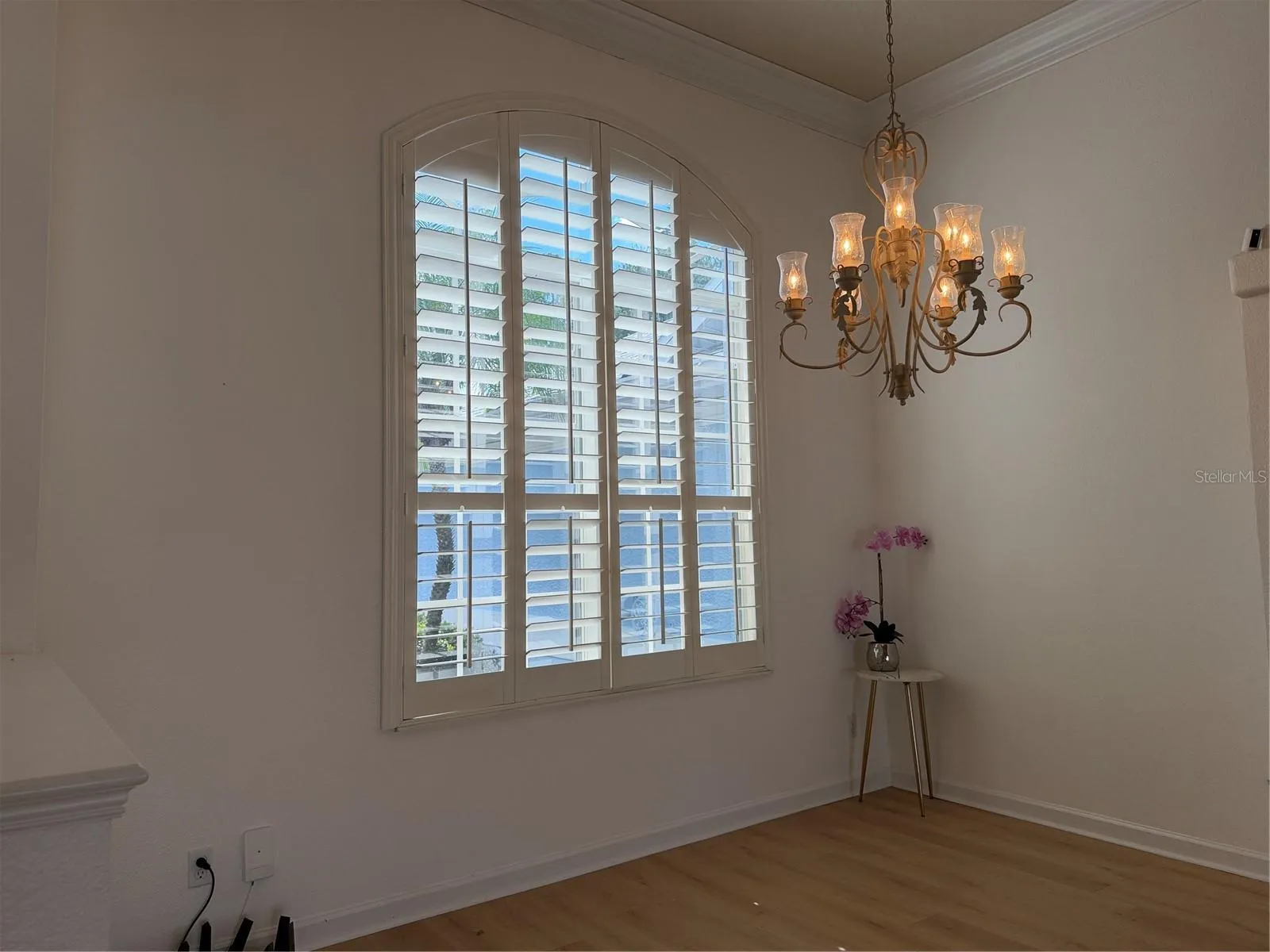 Plantation shutters at front dining room window