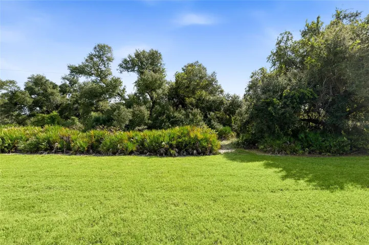 Rear of home is lush landscaping.