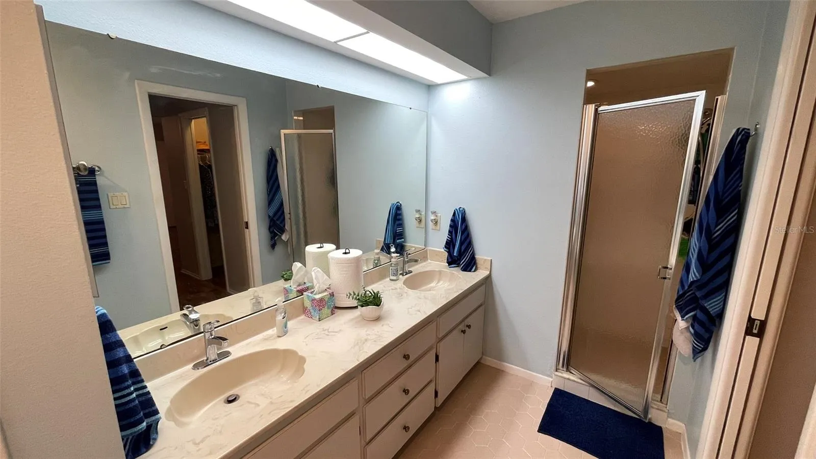 Dual sink vanity and shower stall
