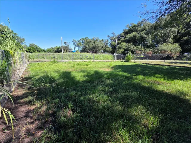 Expansive Yard Space