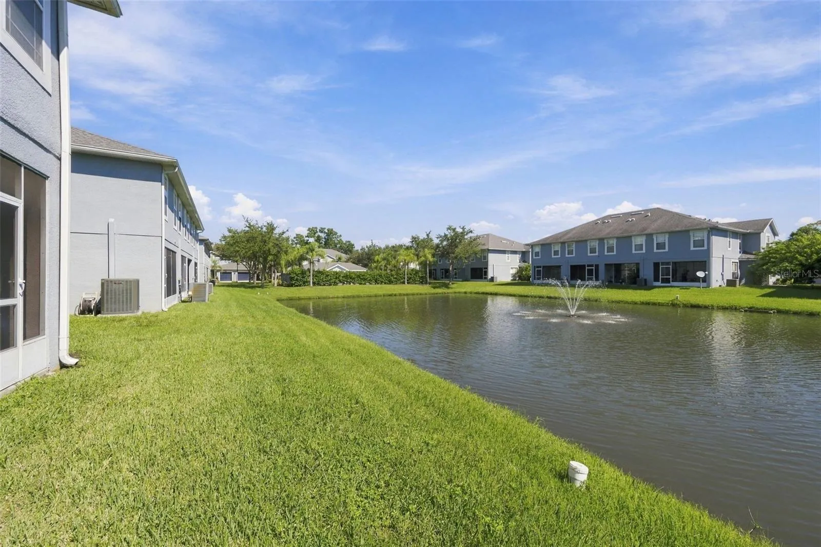 View of Backyard