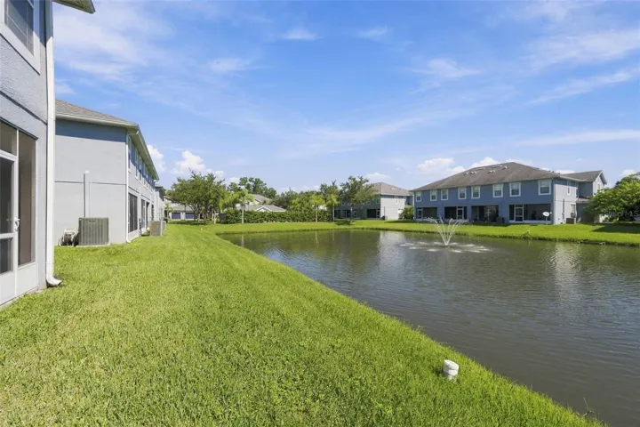 View of Backyard