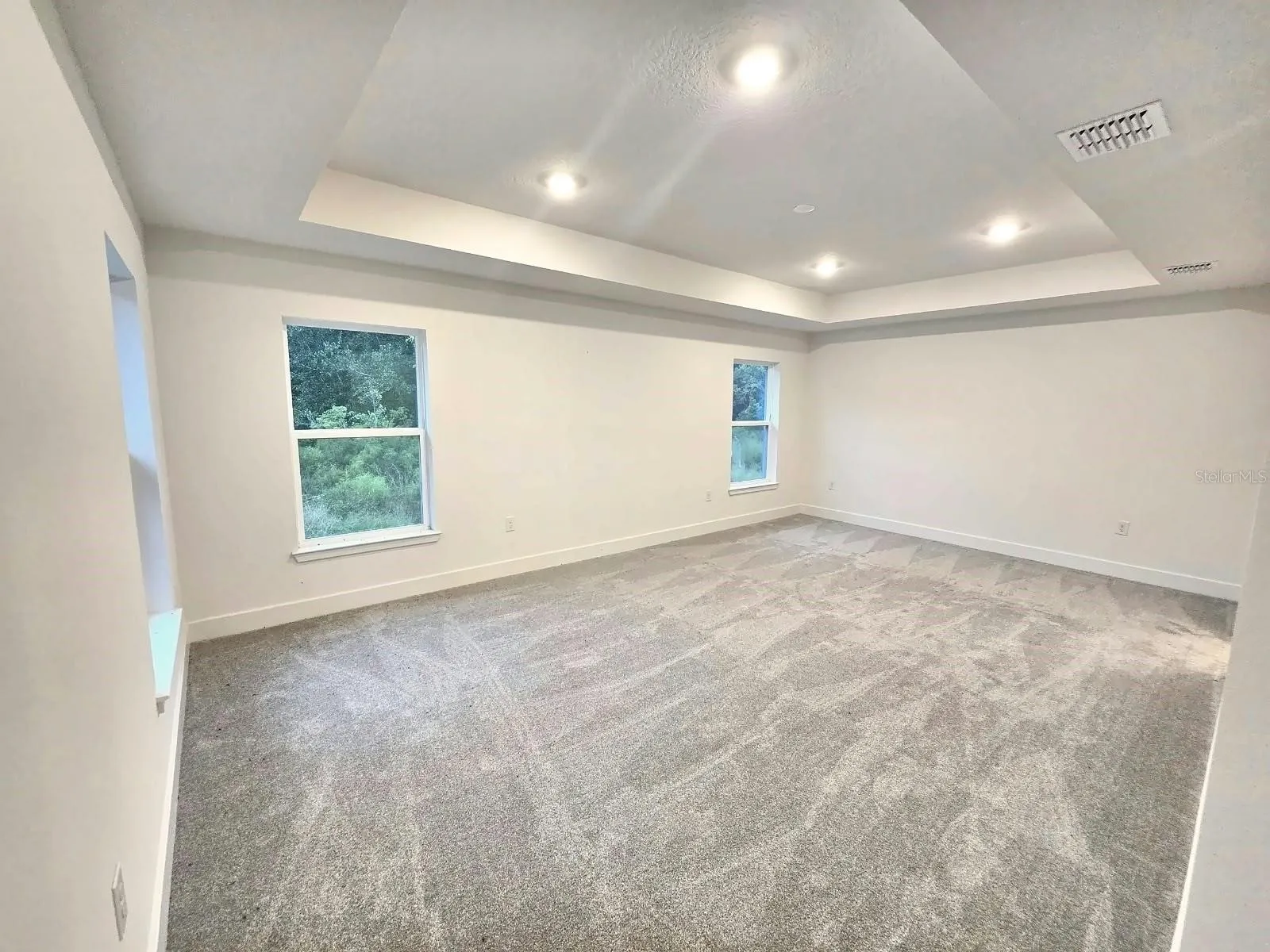 Primary bedroom with tray ceiling