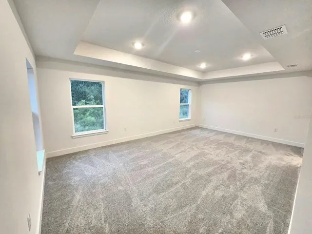 Primary bedroom with tray ceiling