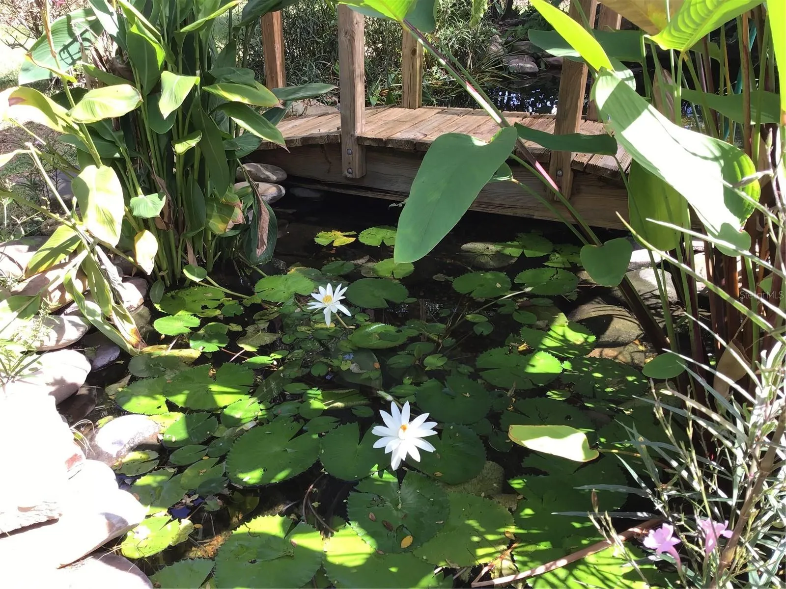 Pond with waterfall