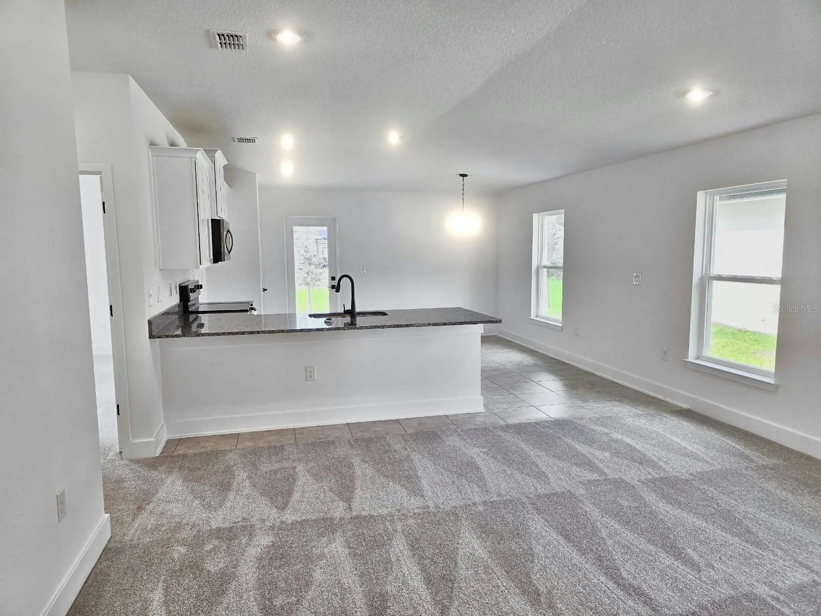 Great room, kitchen and dining area