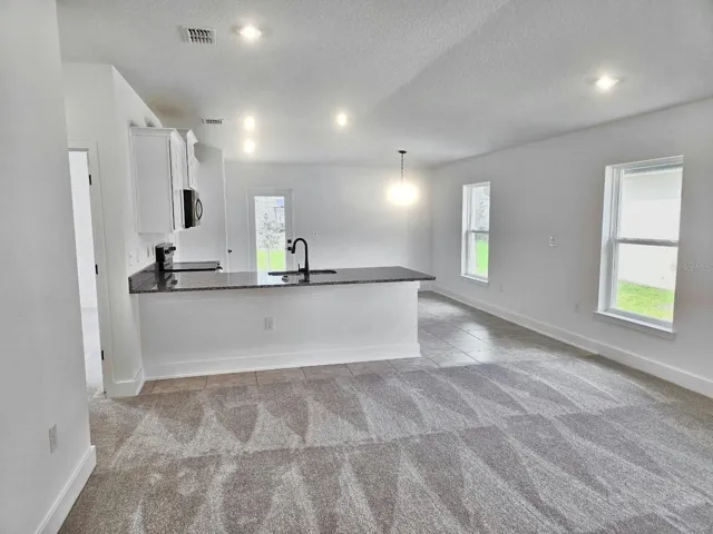 Great room, kitchen and dining area