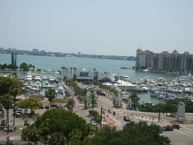 Marina Jacks