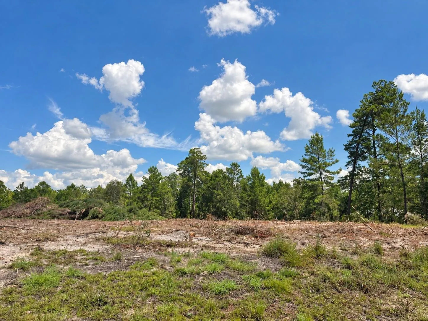 Ground-level view of the property. Photo enhanced for brightness and contrast.