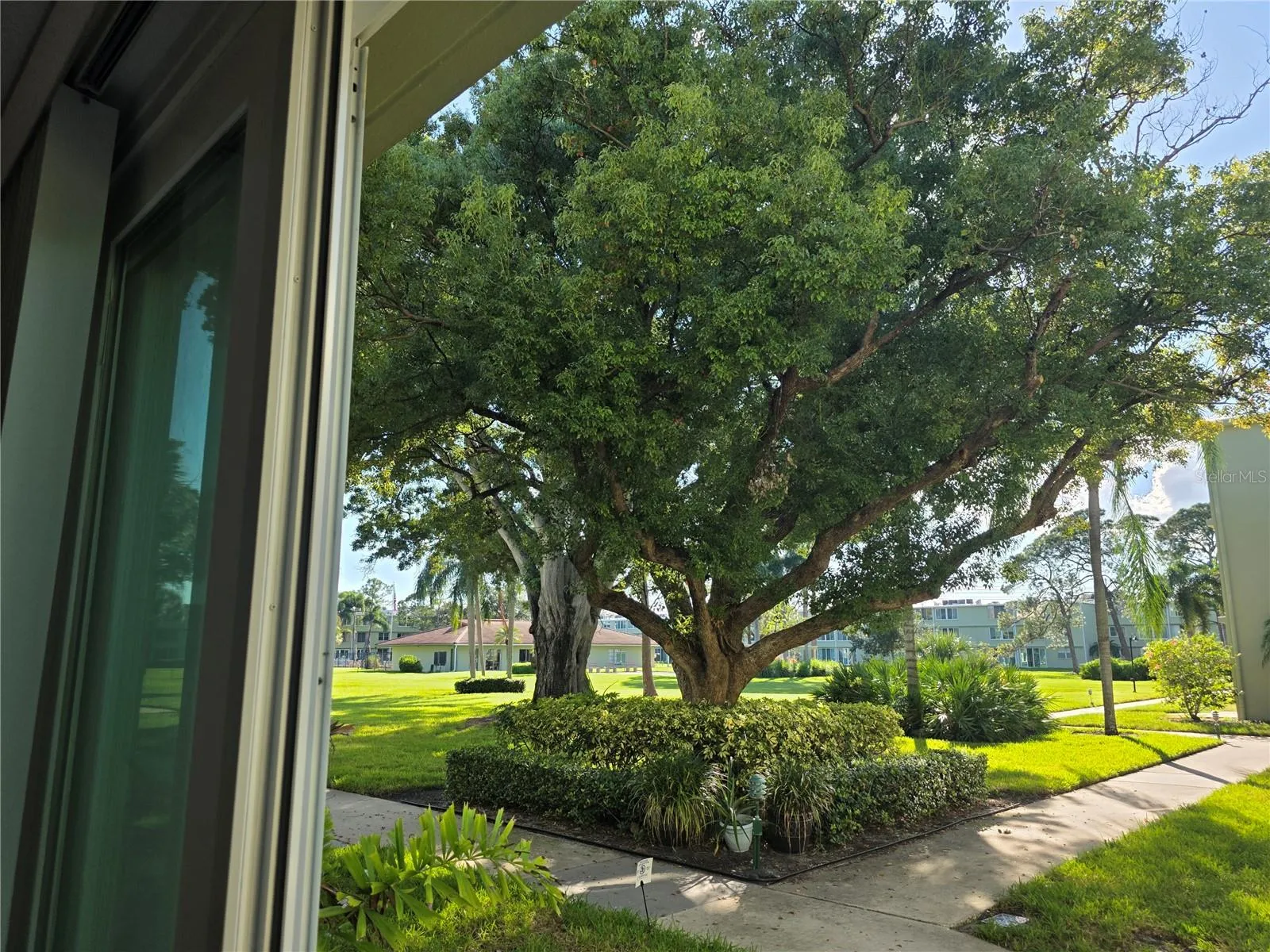 Looking at the clubhouse
