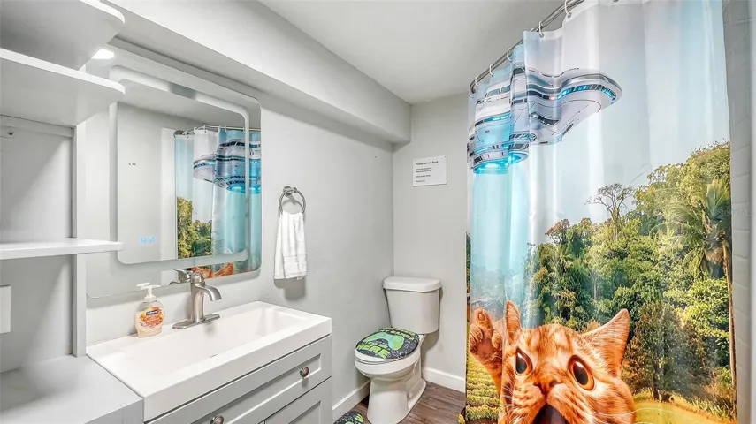 Converted garage bathroom/storage space.