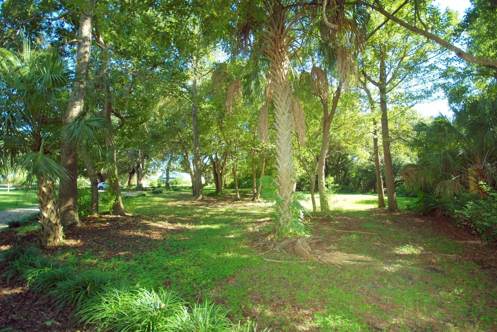 FRONT PICNIC AREA