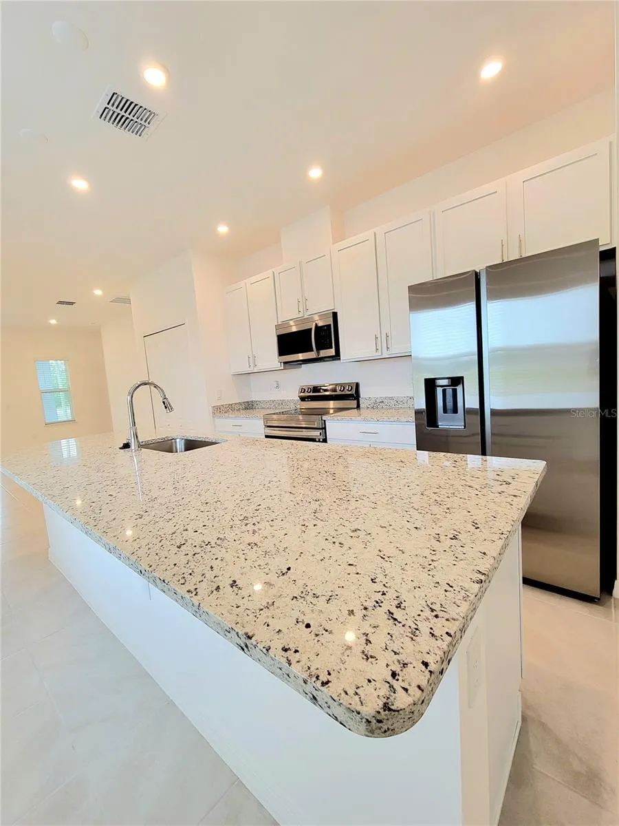 Kitchen Pic 3