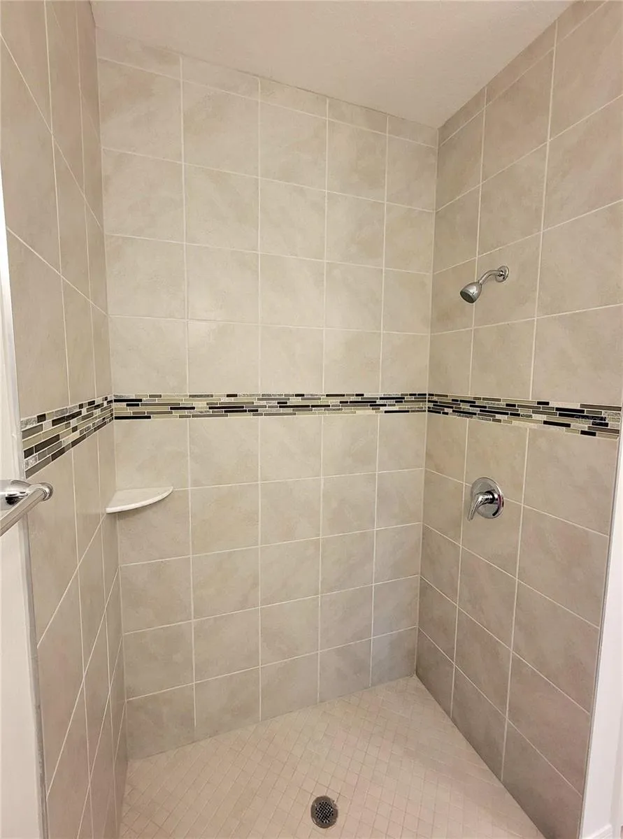 Master Bathroom Shower Pic 1