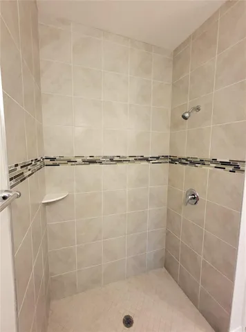 Master Bathroom Shower Pic 1