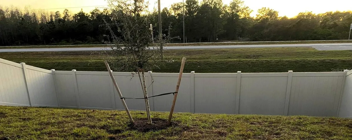 Back of Yard-Fence Pic 4