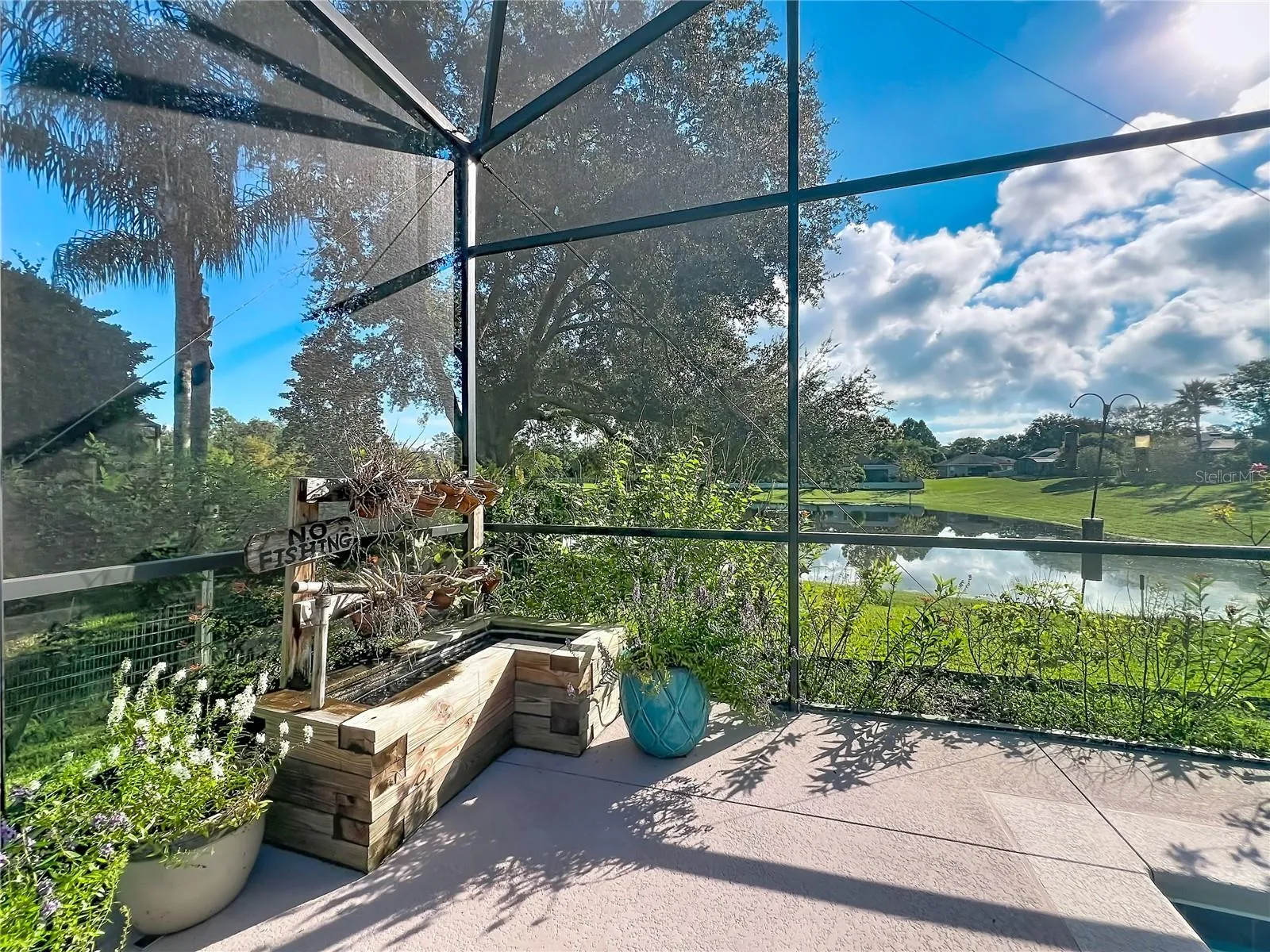 Backyard Oasis