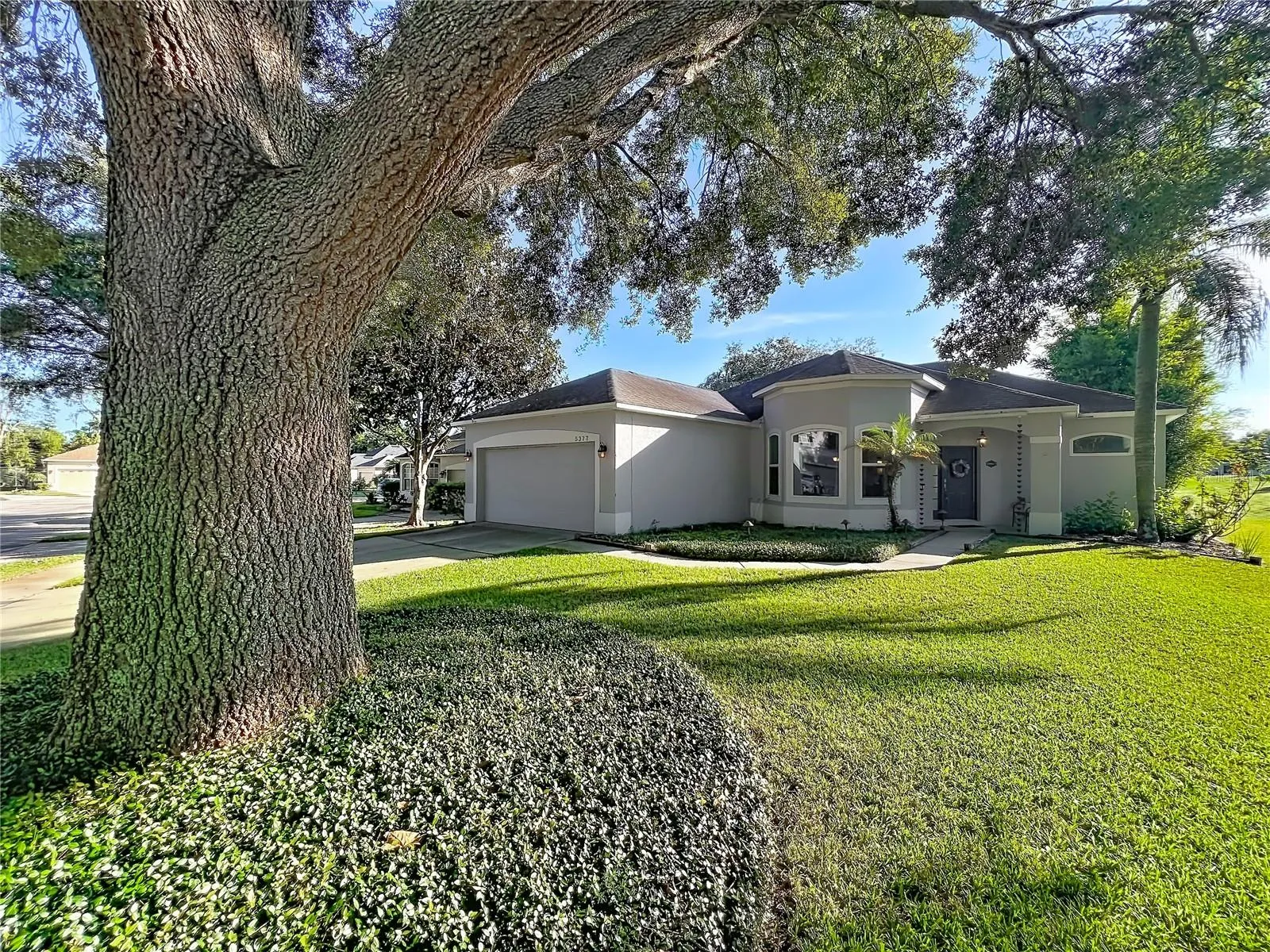 Beautiful curb appeal