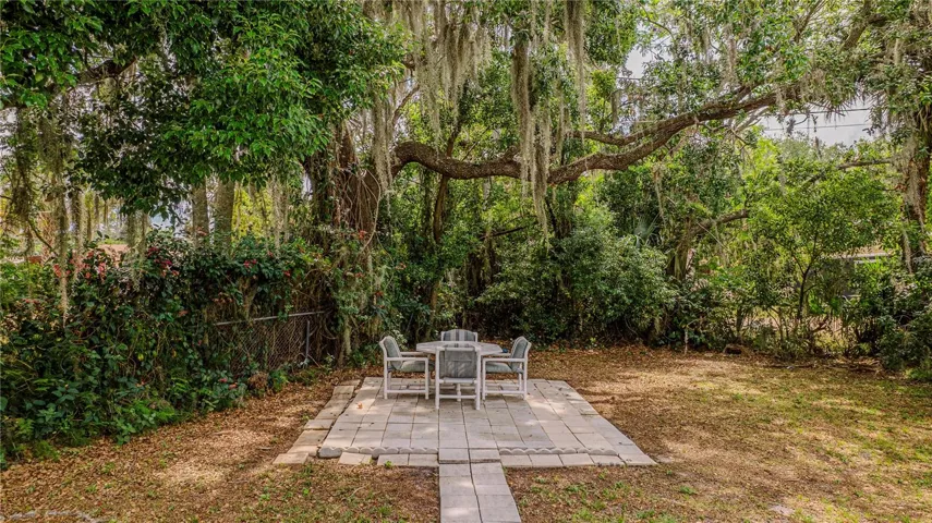 Backyard View