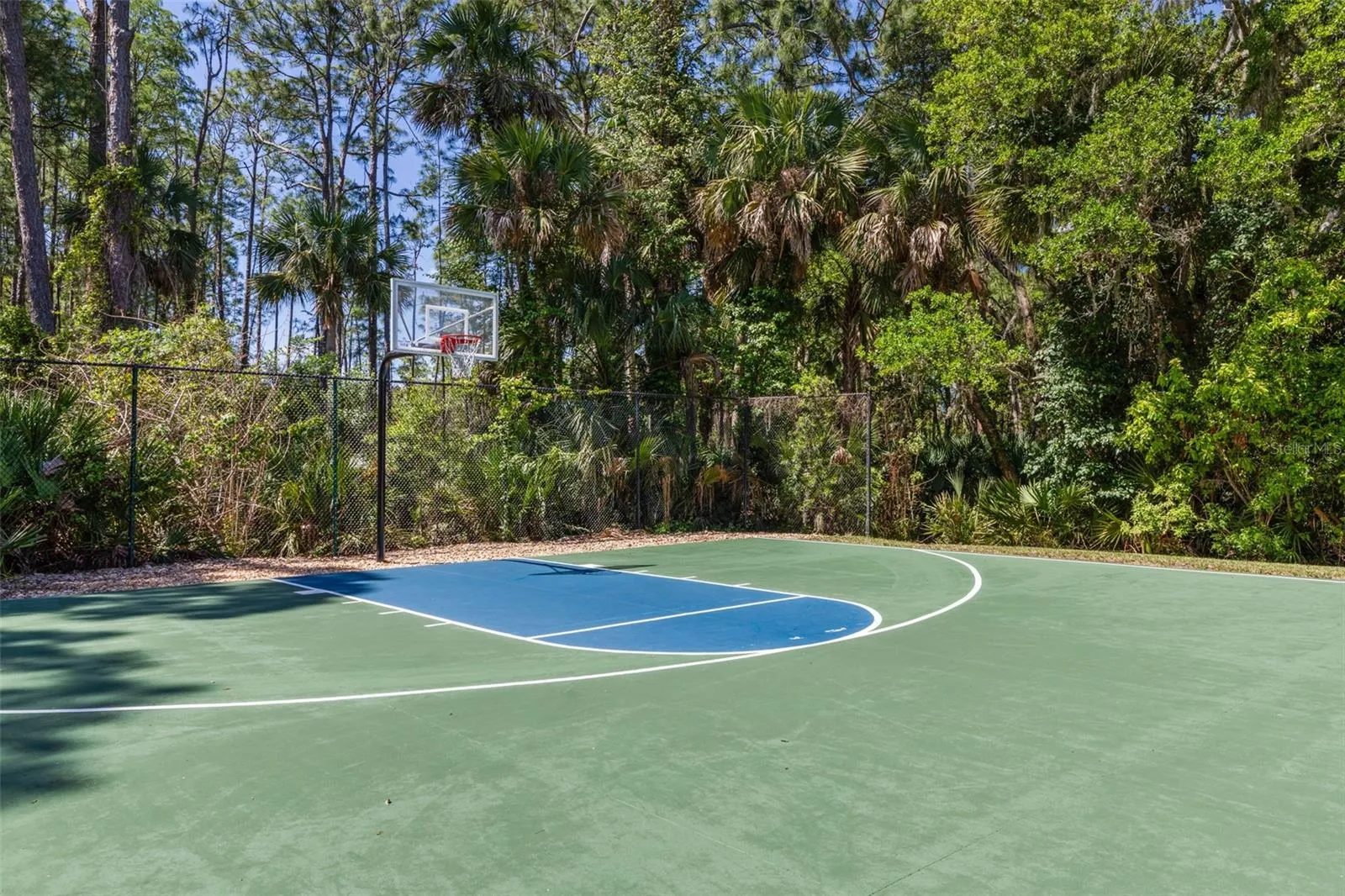Shoot Some Hoops