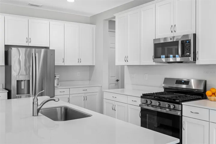 Professional gas range and stainless steel appliances