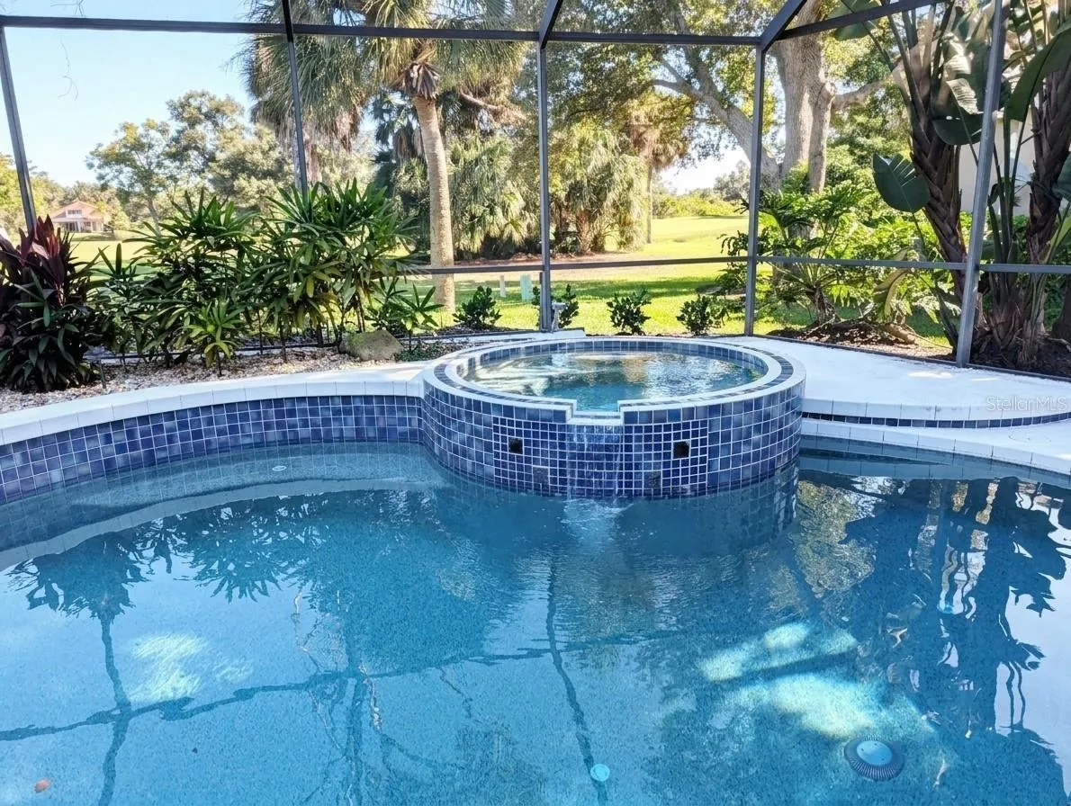 Pool and Spa
