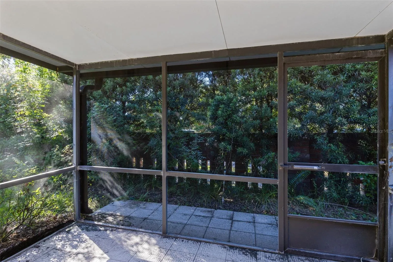 Screened Patio