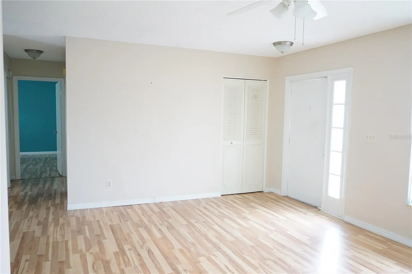 front door and coat closet